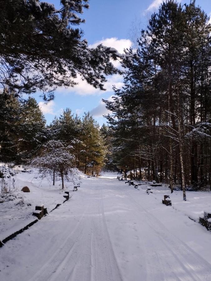 Lesna Polana Villa Stare Jabłonki Buitenkant foto